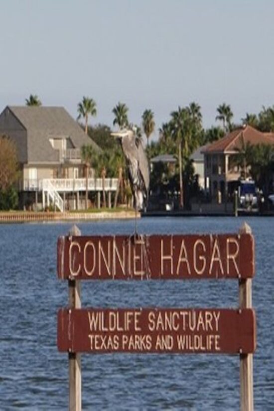 econo lodge inn & suites connie bagar wildlife sanctuary